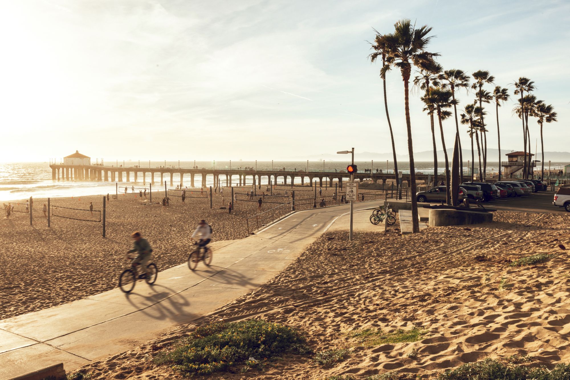A sunny beach scene with tall palm trees, a long pier over the ocean, and people biking and walking by the shore.