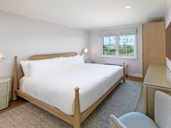 A bright hotel-style bedroom with a large bed, TV, nightstand, and a window showing greenery.