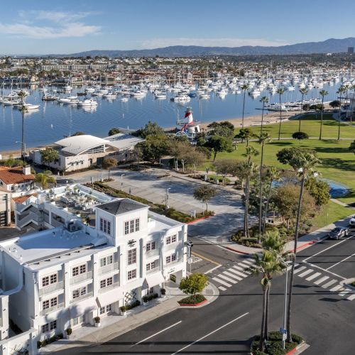 A sunny waterfront marina packed with boats, palm trees, a grassy park, and a coastal city skyline beneath distant mountains.