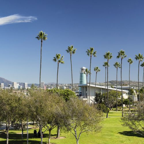 Sunlit garden of tall palm trees beside a glass tower, with city skyline and mountains under a clear blue sky.